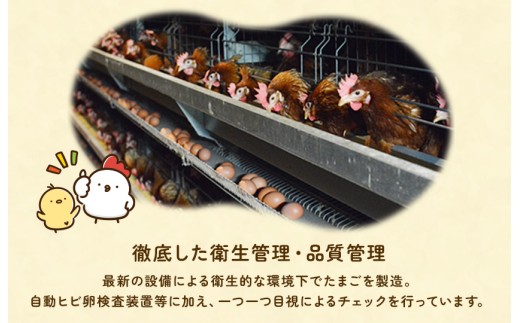 九十九里ファームこだわりたまご９０個～あおい海・みどりの里～《白玉》 ／ たまご 卵 玉子 タマゴ 生卵 卵かけご飯 鶏卵 90個 白玉　90個×1回