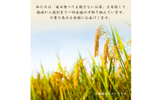 令和7年産 ふさこがね 精米 10kg （ 5kg × 2 ） ／ 米 こめ コメ お米 ごはん ご飯 精米 白米 10kg 5kg ふさこがね 令和7年産 新米 JA 農協 ちばみどり ちばみどり農業協同組合 千葉県 匝瑳市 送料無料