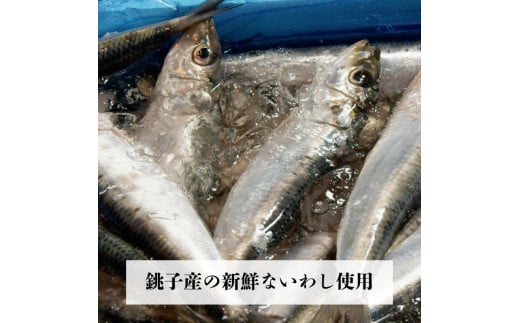 千葉県名産「はまぐり」と「いわし」の押し寿司　食べ比べセット　ギフト箱入り