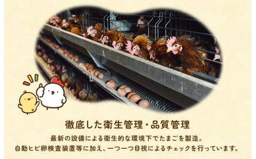 九十九里ファームこだわりたまご９０個～あおい海・みどりの里～《赤玉》 ／ たまご 卵 玉子 タマゴ 生卵 卵かけご飯 鶏卵 90個 赤玉　90個×1回