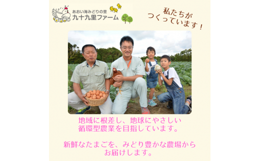 【定期便9回】九十九里ファームこだわりたまご贈答用30個～あおい海・みどりの里～《赤玉》 ／ たまご 卵 玉子 タマゴ 生卵 卵かけご飯 鶏卵 30個 定期便 9回