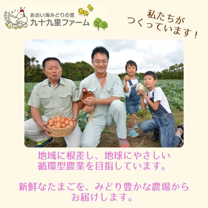 九十九里ファームこだわりたまご贈答用30個～あおい海・みどりの里～《白玉》 ／ たまご 卵 玉子 タマゴ 生卵 卵かけご飯 鶏卵 30個