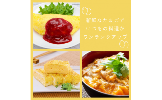 【定期便9回】九十九里ファームこだわりたまご贈答用30個～あおい海・みどりの里～《赤玉》 ／ たまご 卵 玉子 タマゴ 生卵 卵かけご飯 鶏卵 30個 定期便 9回