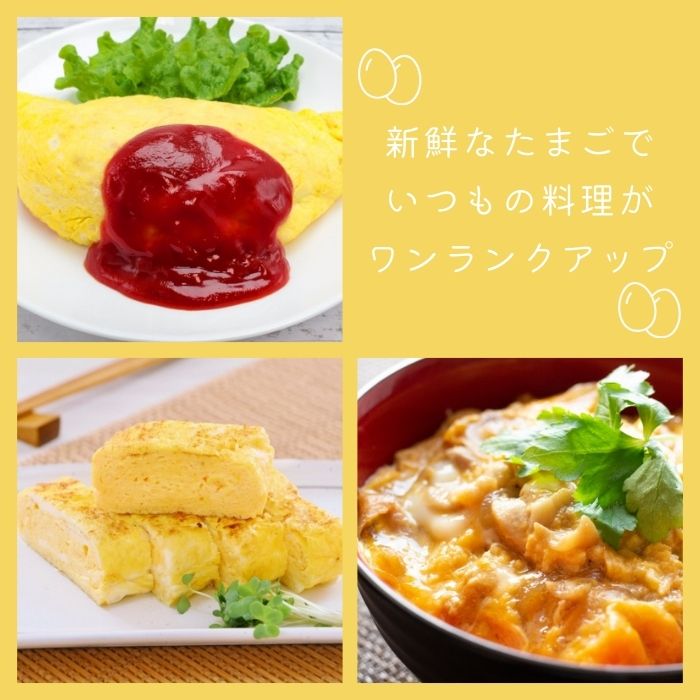 九十九里ファームこだわりたまご贈答用30個～あおい海・みどりの里～《白玉》 ／ たまご 卵 玉子 タマゴ 生卵 卵かけご飯 鶏卵 30個