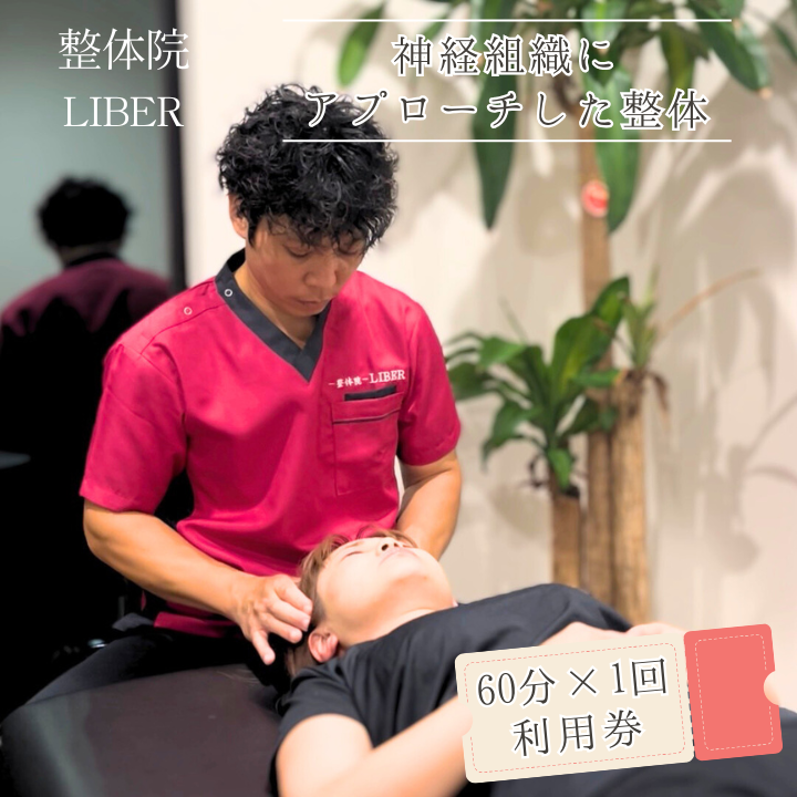 整体院 LIBER　神経組織にアプローチした整体　60分×1回 利用券 ／ 整体 整体院 肩こり 腰痛 関節痛