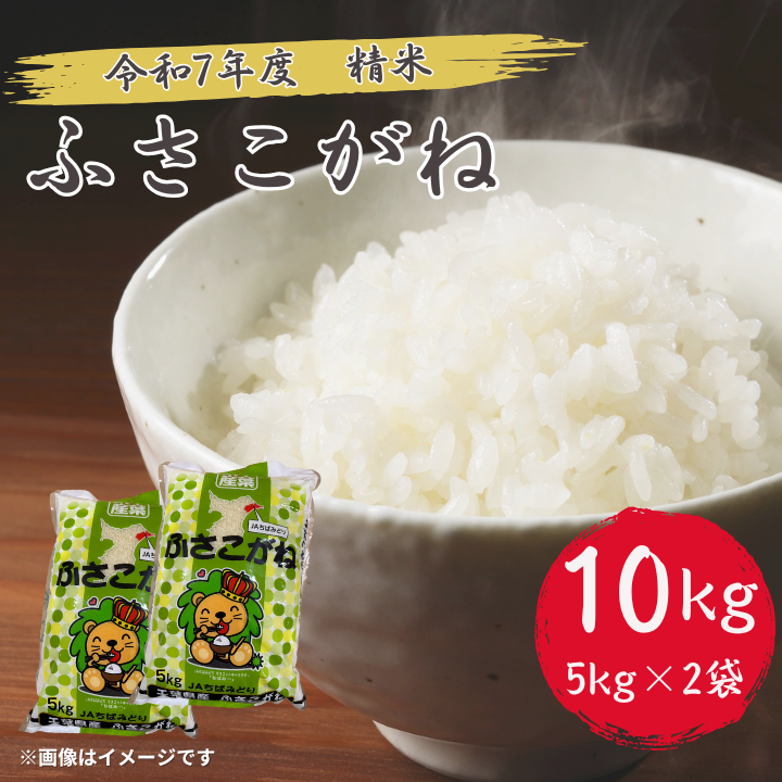 令和7年産 ふさこがね 精米 10kg （ 5kg × 2 ） ／ 米 こめ コメ お米 ごはん ご飯 精米 白米 10kg 5kg ふさこがね 令和7年産 新米 JA 農協 ちばみどり ちばみどり農業協同組合 千葉県 匝瑳市 送料無料