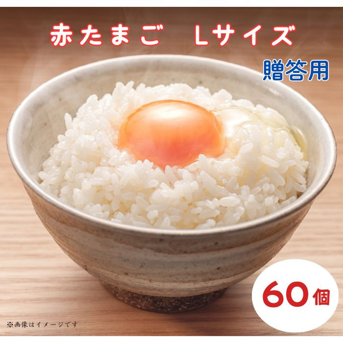 小川エッグの赤たまごLサイズ贈答用 60個 赤たまご たまご 卵 玉子 タマゴ 新鮮 旨み 甘み 贈答用 贈答 ギフト 贈り物 千葉県 匝瑳市