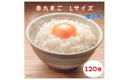 小川エッグの赤たまごLサイズ贈答用 120個 赤たまご たまご 卵 玉子 タマゴ 新鮮 旨み 甘み 贈答用 贈答 ギフト 贈り物 千葉県 匝瑳市