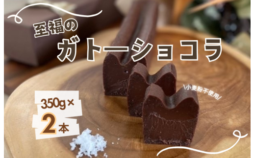 お菓子工房COCORO　ガトーショコラ　350g×2本 ／ ガトーショコラ チョコレート チョコ ケーキ スイーツ お菓子 デザート お菓子 焼き菓子 グルテンフリー