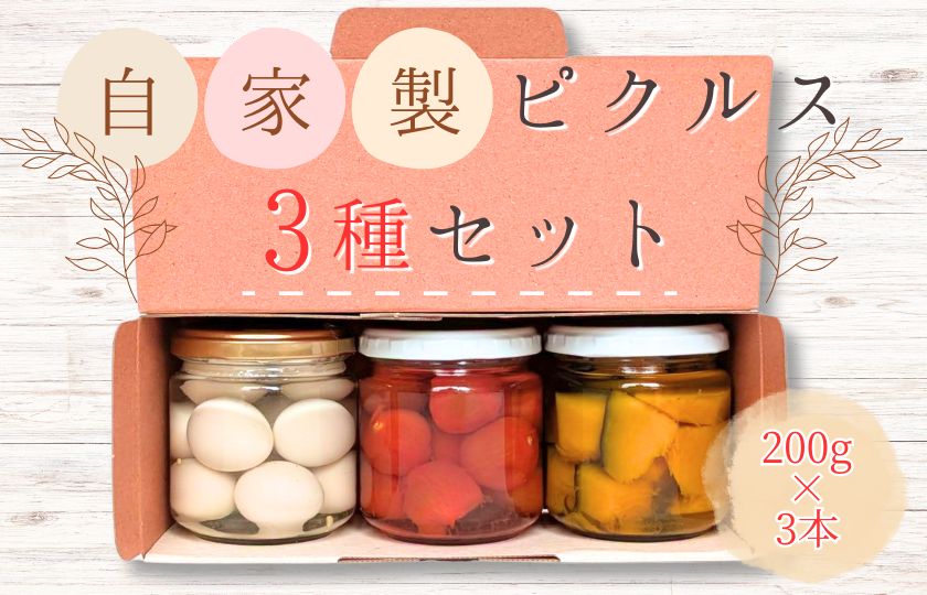メルカドレグメス　ピクルス　3種セット ／ ピクルス ミニトマト うずらの卵 旬の野菜 自家製 セット 詰め合わせ