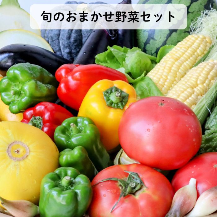 《定期便3ヶ月》旬のおまかせ野菜セット　4種類以上
