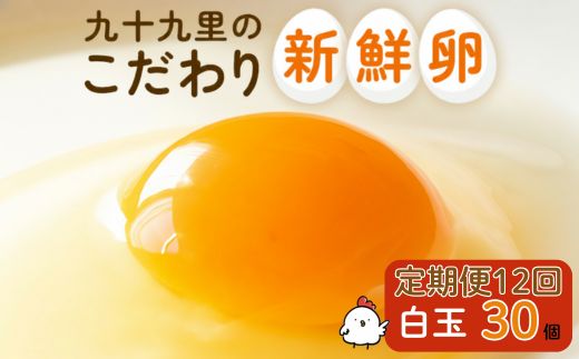 【定期便12回】九十九里ファームこだわりたまご贈答用30個～あおい海・みどりの里～《白玉》 ／ たまご 卵 玉子 タマゴ 生卵 卵かけご飯 鶏卵 30個 定期便 12回
