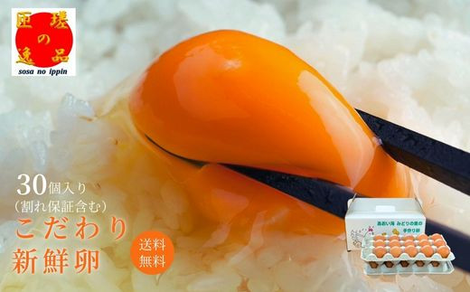 九十九里ファームこだわりたまご贈答用30個～あおい海・みどりの里～《赤玉》 ／ たまご 卵 玉子 タマゴ 生卵 卵かけご飯 鶏卵 30個