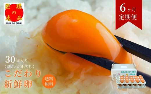 【定期便6回】九十九里ファームこだわりたまご贈答用30個～あおい海・みどりの里～《赤玉》 ／ たまご 卵 玉子 タマゴ 生卵 卵かけご飯 鶏卵 30個 定期便 6回