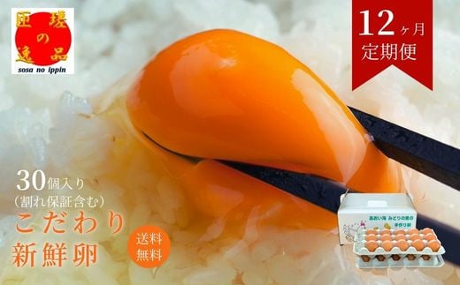 【定期便12回】九十九里ファームこだわりたまご贈答用30個～あおい海・みどりの里～《赤玉》 ／ たまご 卵 玉子 タマゴ 生卵 卵かけご飯 鶏卵 30個 定期便 12回