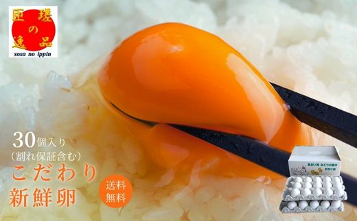 九十九里ファームこだわりたまご贈答用30個～あおい海・みどりの里～《白玉》 ／ たまご 卵 玉子 タマゴ 生卵 卵かけご飯 鶏卵 30個