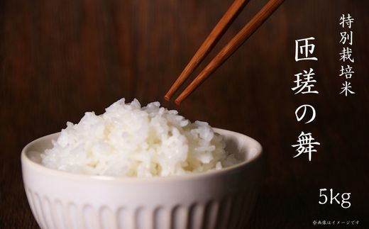 令和7年産　米　5kg　匝瑳の舞　精米 ／ お米 コメ こめ ごはん ふさこがね 白米 精米 5kg チバエコ 特別栽培 新米 千葉県 匝瑳市