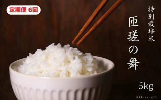 【定期便6回】 令和7年産　匝瑳の舞　精米　5kg ／ お米 米 コメ こめ ごはん ふさこがね 白米 精米 5kg チバエコ 特別栽培 新米 千葉県 匝瑳市