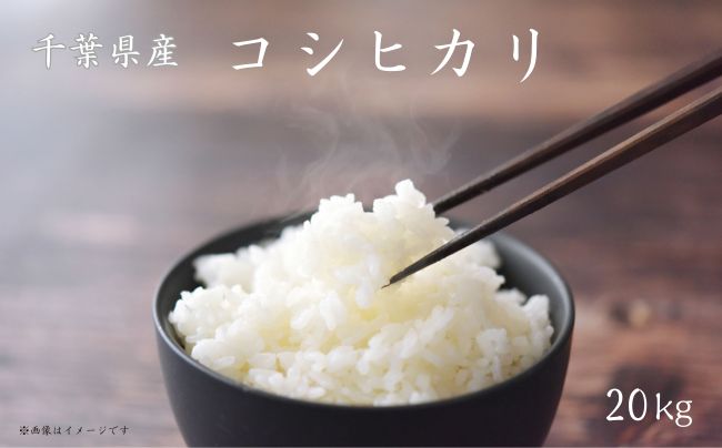 千葉県産コシヒカリ 20kg（5kg×4袋）