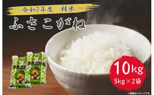 令和7年産 ふさこがね 精米 10kg （ 5kg × 2 ） ／ 米 こめ コメ お米 ごはん ご飯 精米 白米 10kg 5kg ふさこがね 令和7年産 新米 JA 農協 ちばみどり ちばみどり農業協同組合 千葉県 匝瑳市 送料無料