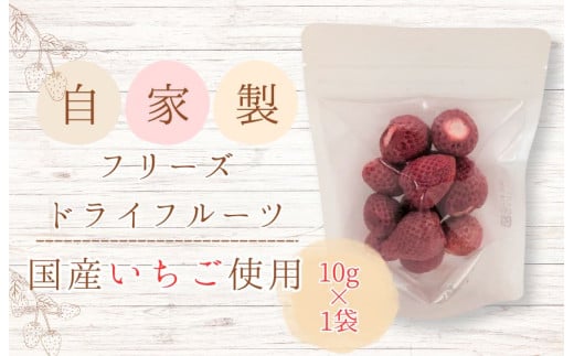 メルカドレグメス　フリーズドライフルーツ　いちご ／ フリーズドライフルーツ フリーズドライ フルーツ 果物 くだもの いちご イチゴ 苺 自家製 3000円 いちご