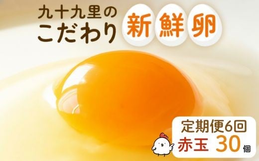 【定期便6回】九十九里ファームこだわりたまご贈答用30個～あおい海・みどりの里～《赤玉》 ／ たまご 卵 玉子 タマゴ 生卵 卵かけご飯 鶏卵 30個 定期便 6回 赤玉　30個×6回