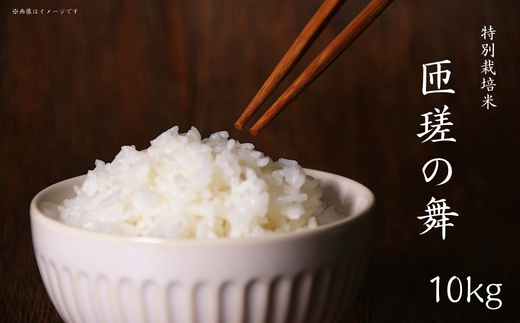 令和7年産　米　10kg　匝瑳の舞　精米 ／ お米 コメ こめ ごはん ふさこがね 白米 精米 10kg チバエコ 特別栽培 千葉県 匝瑳市 10kg×1回