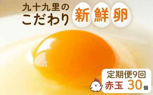 【定期便9回】九十九里ファームこだわりたまご贈答用30個～あおい海・みどりの里～《赤玉》 ／ たまご 卵 玉子 タマゴ 生卵 卵かけご飯 鶏卵 30個 定期便 9回 赤玉　30個×9回