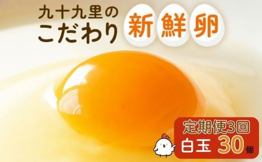 【定期便3回】九十九里ファームこだわりたまご贈答用30個～あおい海・みどりの里～《白玉》 ／ たまご 卵 玉子 タマゴ 生卵 卵かけご飯 鶏卵 30個 定期便 3回 白玉　30個×3回
