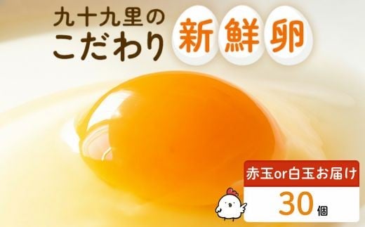 《訳あり》九十九里ファームこだわりたまご 30個～あおい海・みどりの里～（赤玉or白玉） ／ たまご 卵 玉子 タマゴ 30個 卵かけご飯 新鮮 旨み 甘み 贈答用 贈答 ギフト 贈り物 訳あり 訳アリ 千葉県 匝瑳市 送料無料 期間限定 訳あり　30個　赤玉or白玉