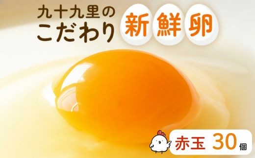 九十九里ファームこだわりたまご贈答用30個～あおい海・みどりの里～《赤玉》 ／ たまご 卵 玉子 タマゴ 生卵 卵かけご飯 鶏卵 30個 赤玉　30個×1回