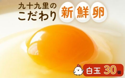 九十九里ファームこだわりたまご贈答用30個～あおい海・みどりの里～《白玉》 ／ たまご 卵 玉子 タマゴ 生卵 卵かけご飯 鶏卵 30個 白玉　30個×1回