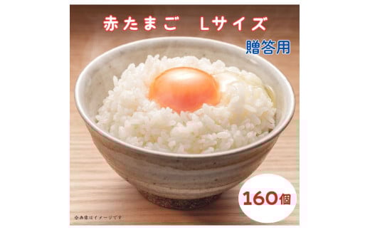 小川エッグの赤たまごLサイズ贈答用 160個 赤たまご たまご 卵 玉子 タマゴ 新鮮 旨み 甘み 贈答用 贈答 ギフト 贈り物 千葉県 匝瑳市 160個