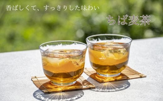 ちば麦茶40ティーパック入り 12個 12個（10g×40袋） 