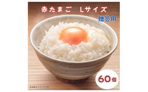 小川エッグの赤たまごLサイズ贈答用 60個 赤たまご たまご 卵 玉子 タマゴ 新鮮 旨み 甘み 贈答用 贈答 ギフト 贈り物 千葉県 匝瑳市 60個
