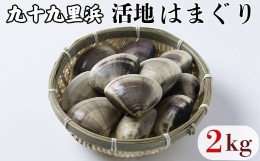 九十九里浜産　活地はまぐり約2kg 約2kg