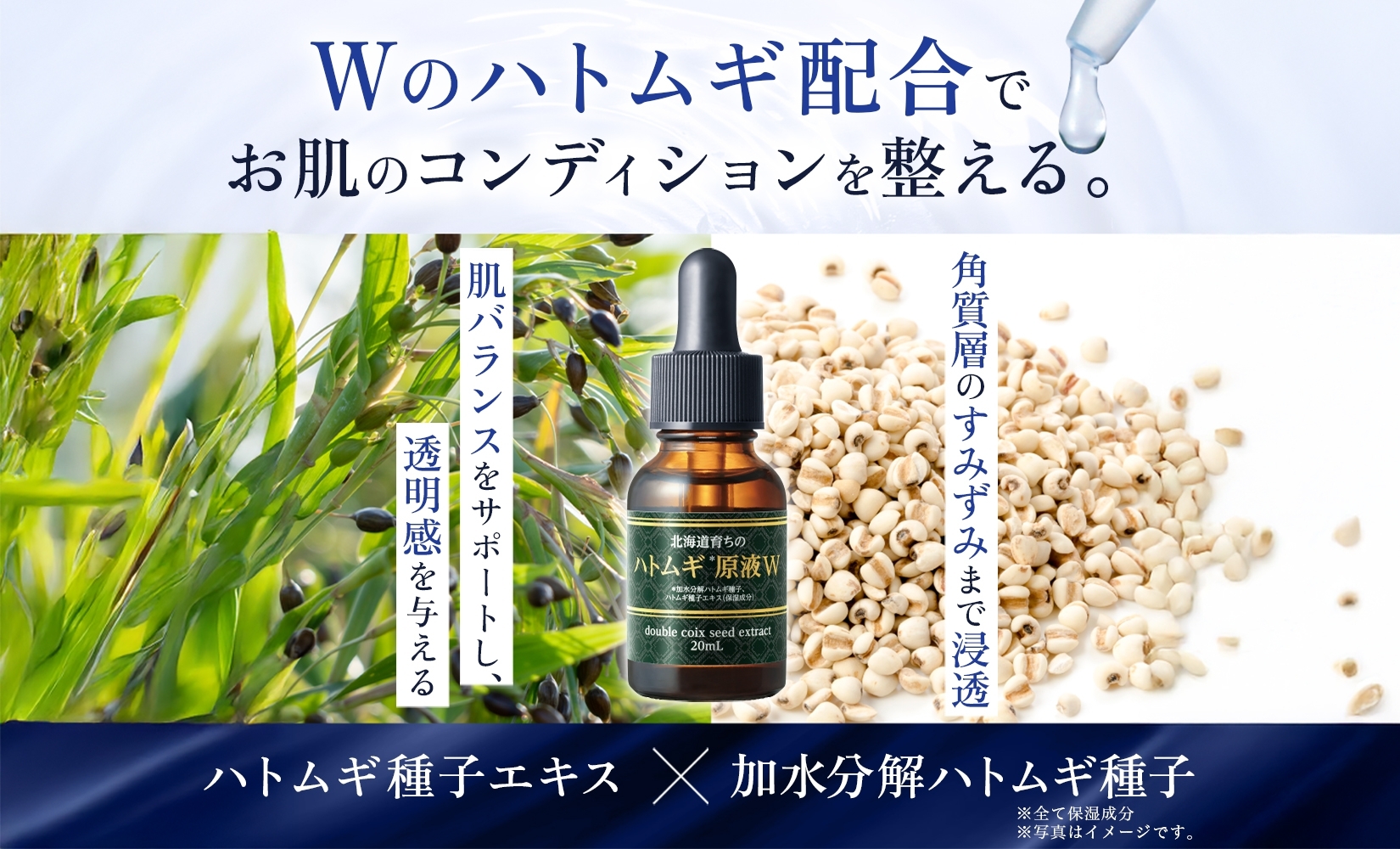 北海道育ちのハトムギ原液W 20mL ウィルミナ 化粧品 KTRCG001