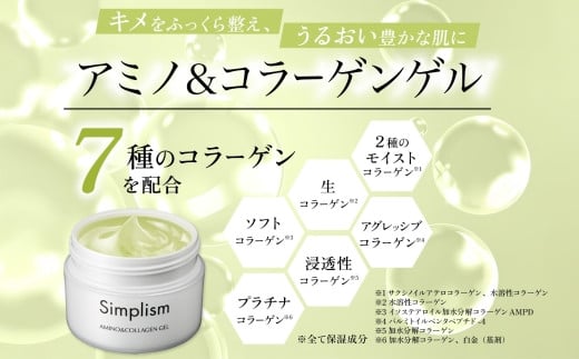 【3ヵ月毎定期便】シンプリズム アミノ&コラーゲンゲルV 100g ウィルミナ全4回 KTRCG060