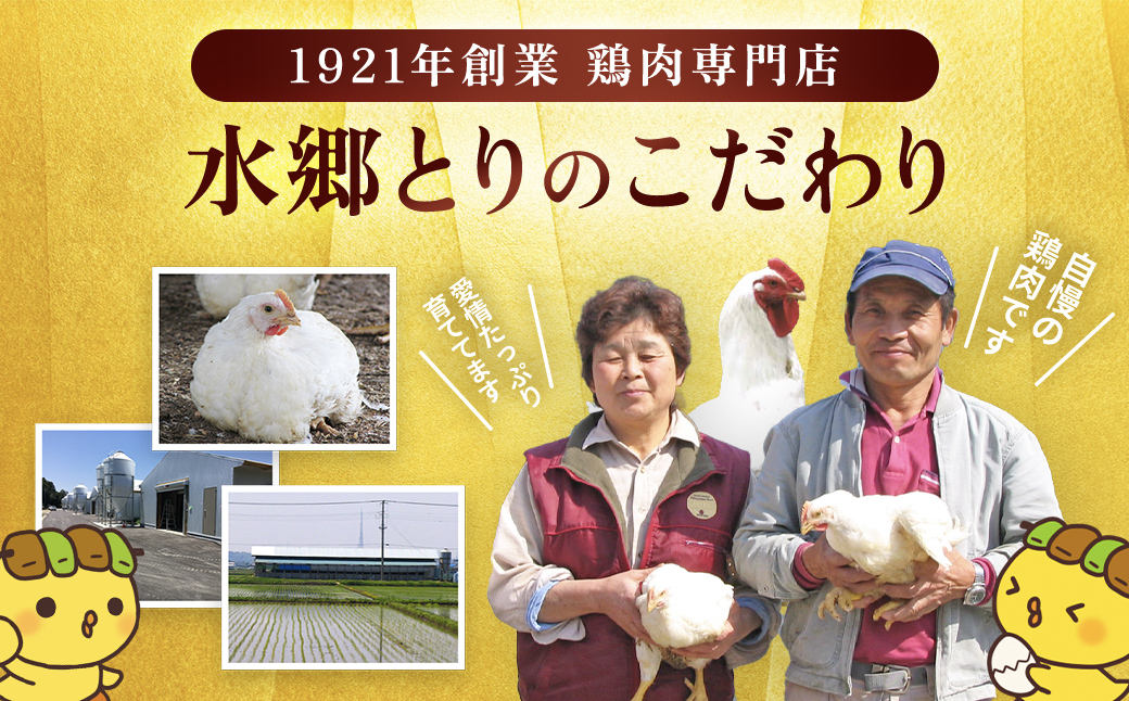 水郷どり本格派やきとり丼10食セット/鶏肉専門店「水郷のとりやさん」/KTRJ004