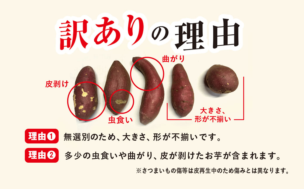 【訳あり】香取市産 さつまいも 紅はるか 約10kg×1 焼き芋やスイートポテトにどうぞ KTRW003 / 芋 サツマイモ さつま芋 紅はるか べにはるか ベニハルカ 焼き芋 焼芋 焼いも お芋 おいも いも 生芋