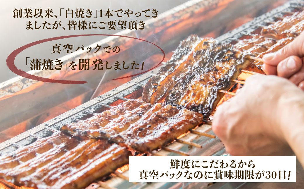 【紅白味わいセット】国産うなぎの白焼き大1匹・蒲焼き中2串《戸村川魚店》 / KTRY002 うなぎ 国産うなぎ 鰻 国産鰻 ウナギ 国産ウナギ 白焼 白焼き 蒲焼き 蒲焼 食べ比べ セット