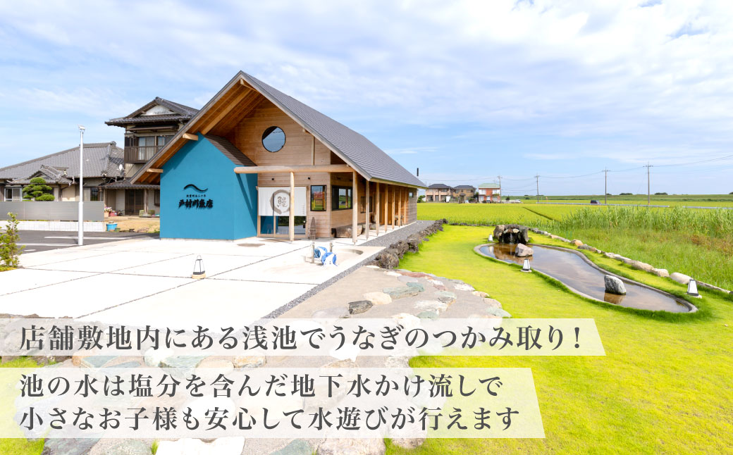 戸村川魚店の国産うなぎのつかみ取り体験チケット / KTRY006 うなぎ 国産うなぎ 鰻 国産鰻 ウナギ 国産ウナギ つかみ取り 体験 チケット うなぎのつかみ取り