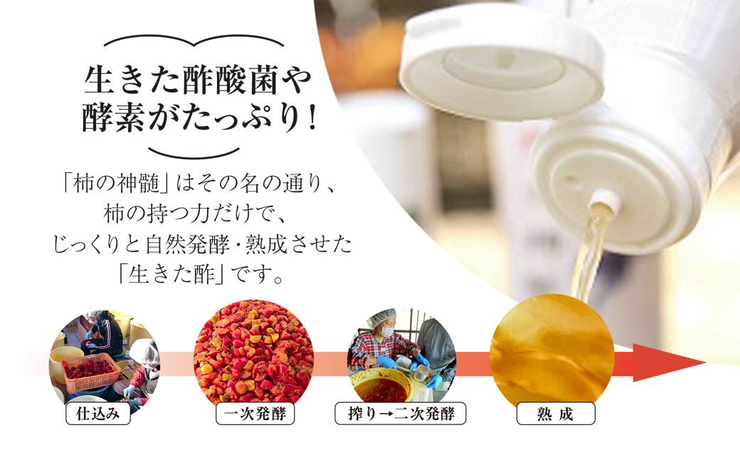 香取市産 酵素酢 柿の神髄 / ギフト缶レギュラー(500ml×1本入・贈答可) KTRAK001 / 酢 柿酢 酵素 贈答 ギフト 贈り物 プレゼント ギフト缶 缶入り 健康習慣 健康