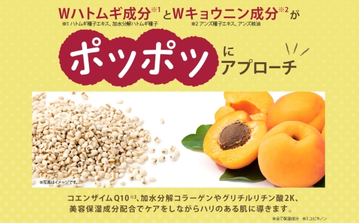 イボンヌオールインワンゲル 100g 2個 ウィルミナ 千葉県 香取市 KTRCG018