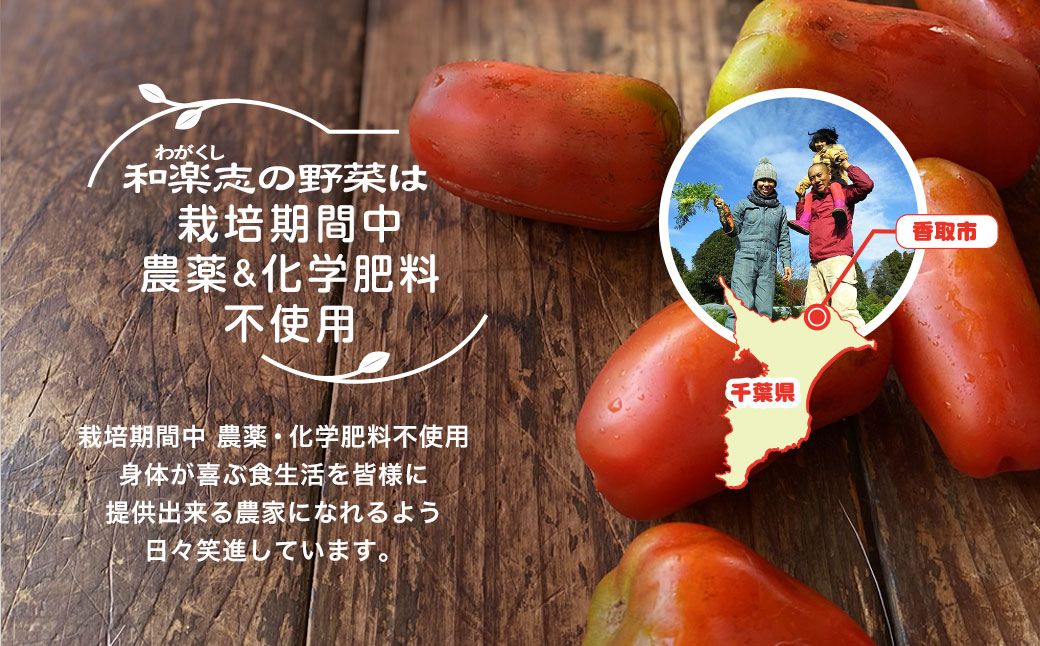 栽培期間中 農薬不使用　季節のお野菜セット KTRCP001 / 野菜 やさい 旬 季節 詰合せ お野菜セット 9品目 3～5人家族用 健康 和楽志 わがくし 千葉県 香取市