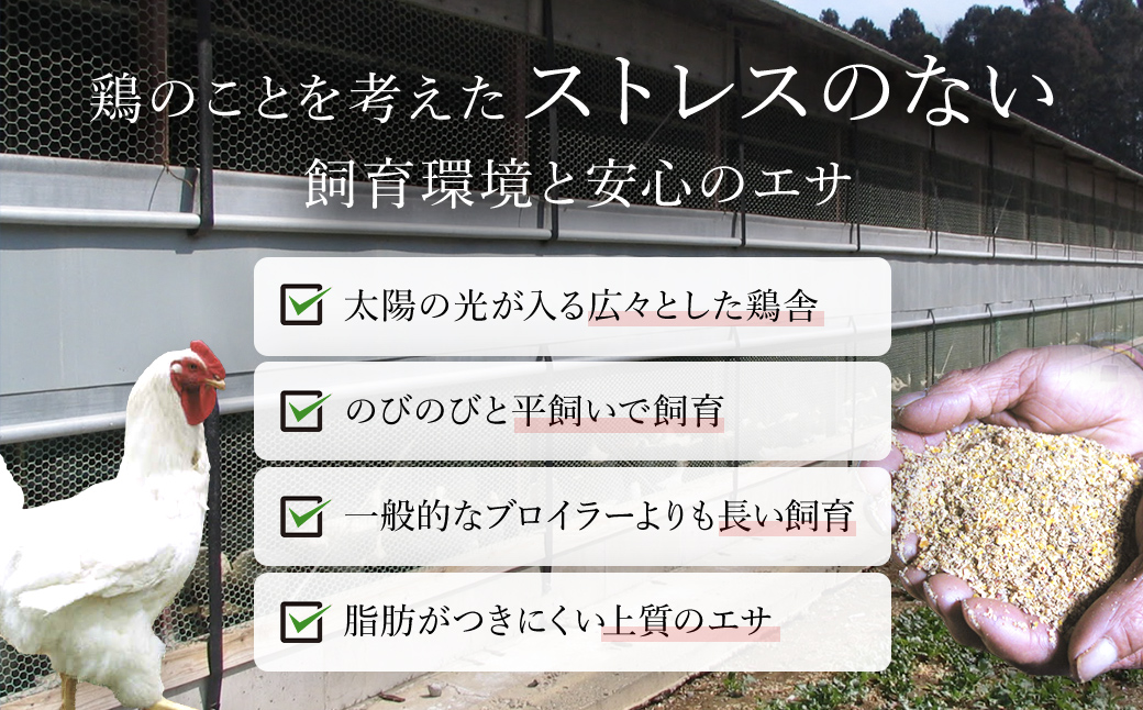手作りの美味しさ！自家製スモークチキン5品詰め合わせ／鶏肉専門店「水郷のとりやさん」 / KTRJ009