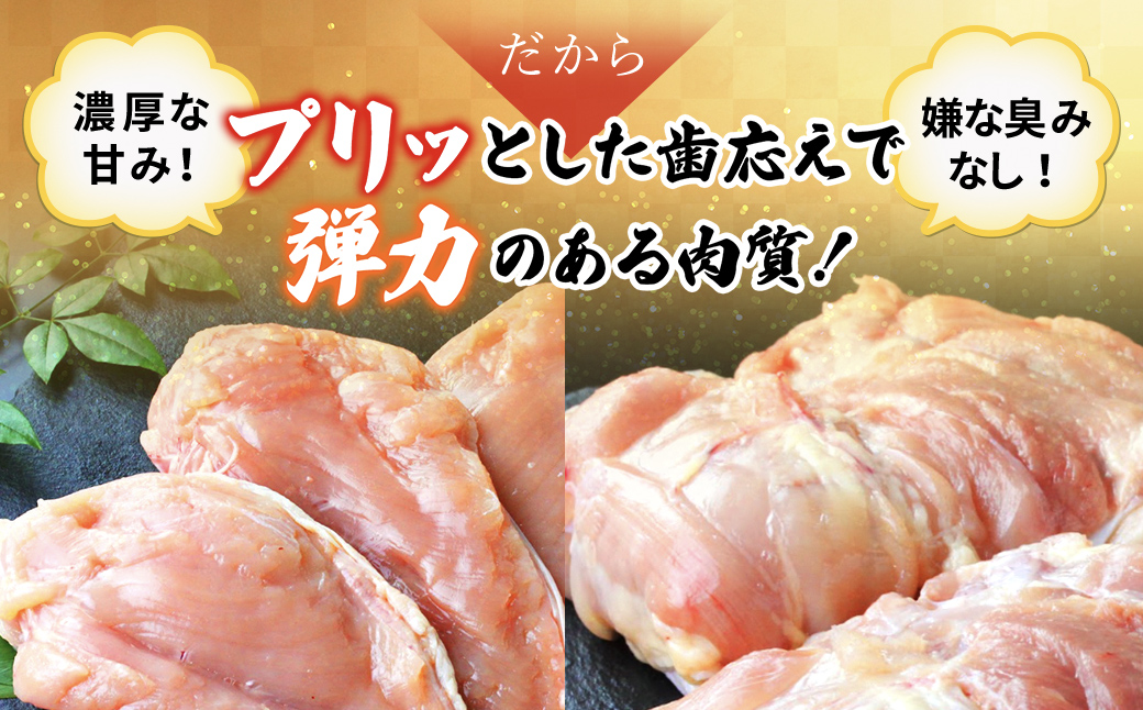 水郷どりもも肉カット1.5kg(300g×5袋)/鶏肉専門店「水郷のとりやさん」 / KTRJ020