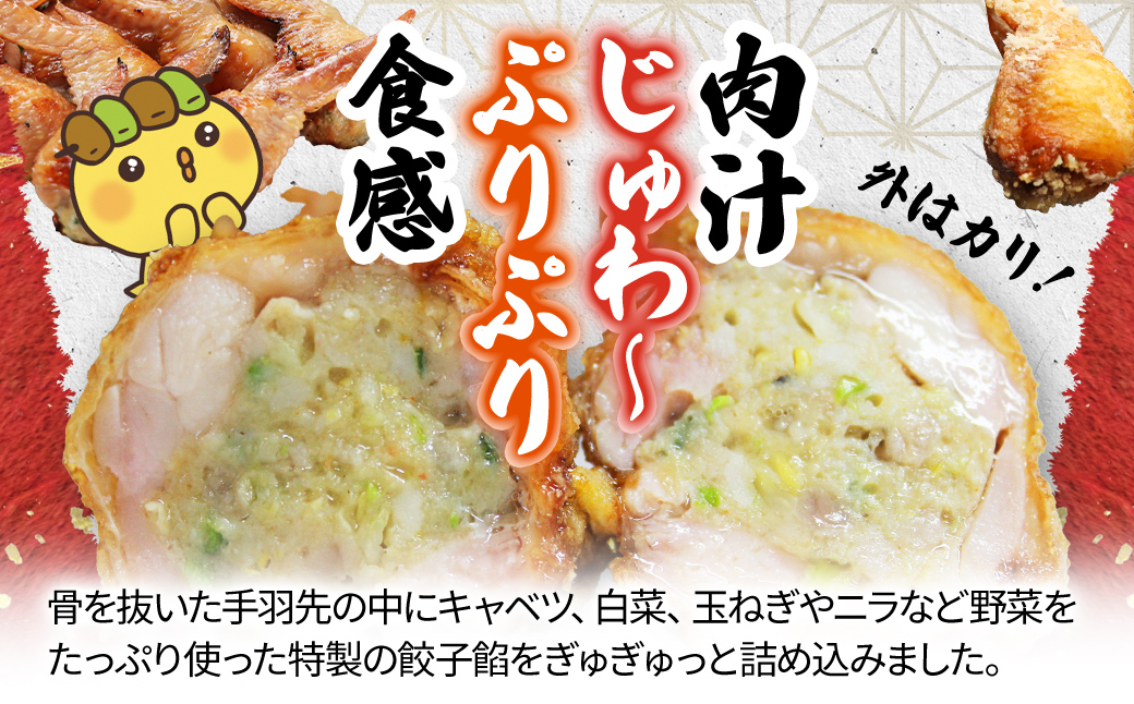 2年連続グルメ大賞受賞 ! 手羽先餃子10本セット / 鶏肉専門店「水郷のとりやさん」 / KTRJ023