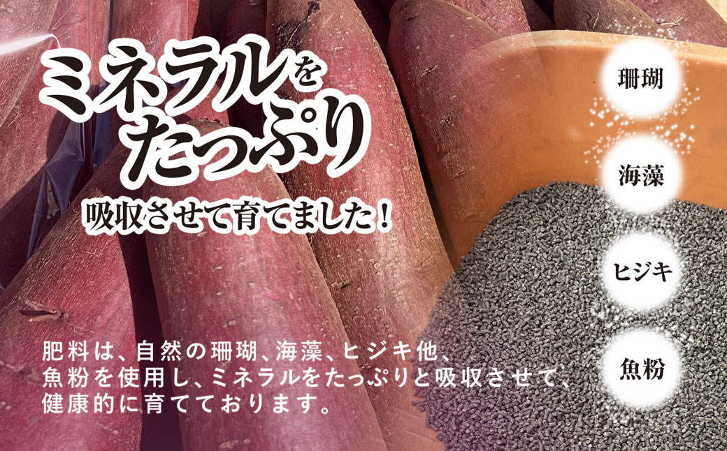 【訳あり】香取市産 さつまいも 紅はるか 約10kg×1 焼き芋やスイートポテトにどうぞ KTRW003 / 芋 サツマイモ さつま芋 紅はるか べにはるか ベニハルカ 焼き芋 焼芋 焼いも お芋 おいも いも 生芋
