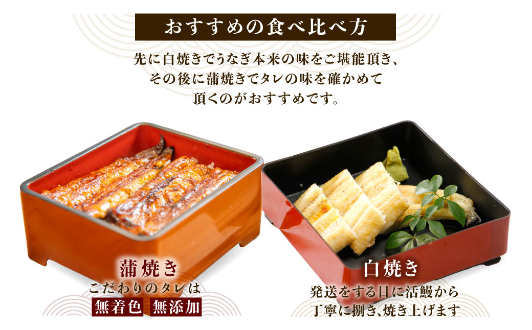 【紅白味わいセット】国産うなぎの白焼き大1匹・蒲焼き中2串《戸村川魚店》 / KTRY002 うなぎ 国産うなぎ 鰻 国産鰻 ウナギ 国産ウナギ 白焼 白焼き 蒲焼き 蒲焼 食べ比べ セット